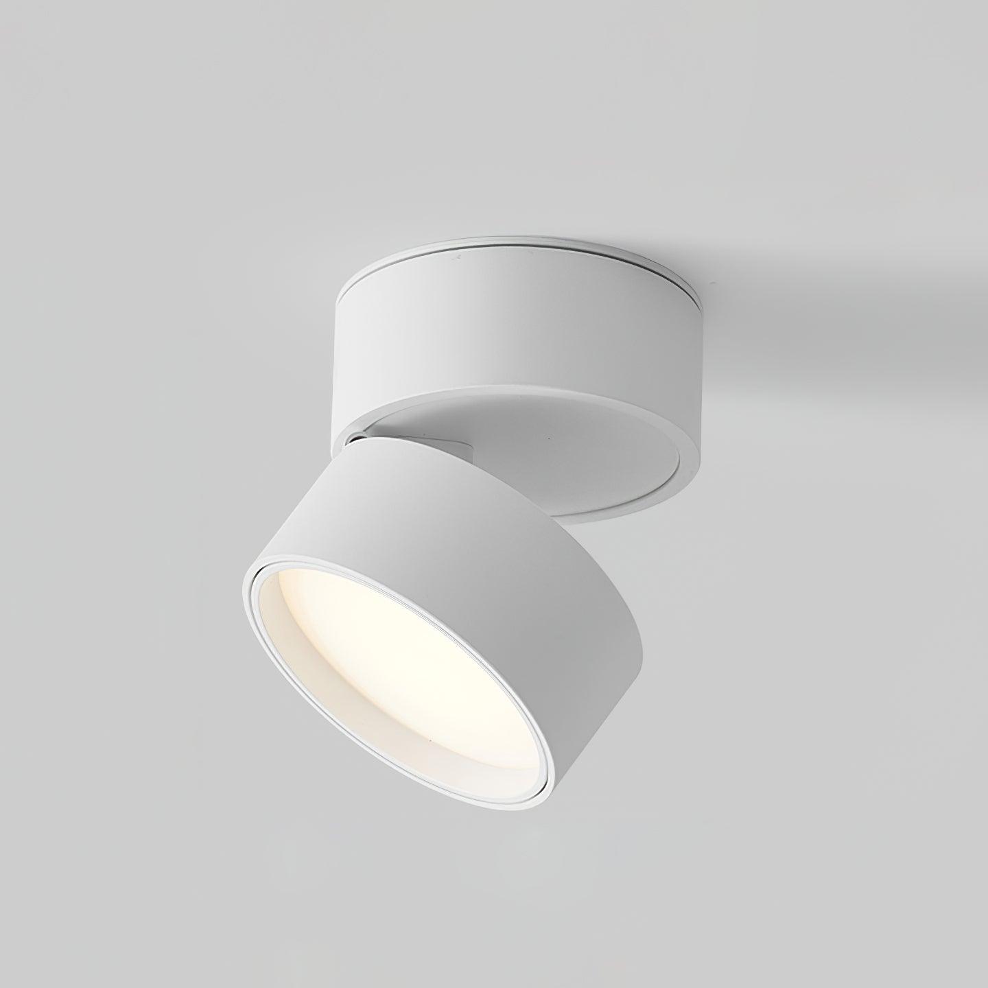 Seravine | Lampe de Plafond – Design Orientable et Ambiance Élégante