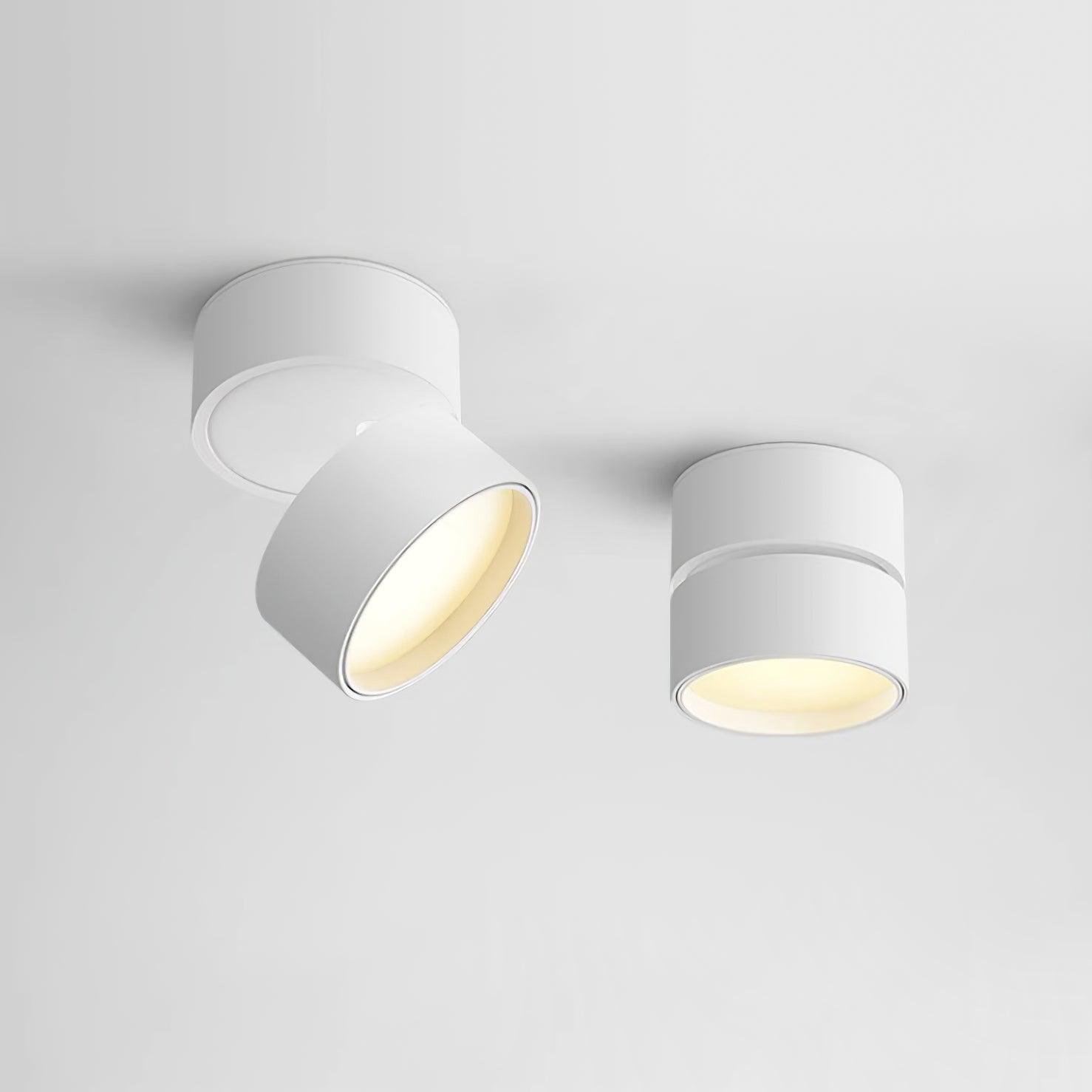 Seravine | Lampe de Plafond – Design Orientable et Ambiance Élégante