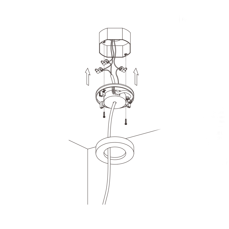 Suspensa - Suspension À Câbles Apparents