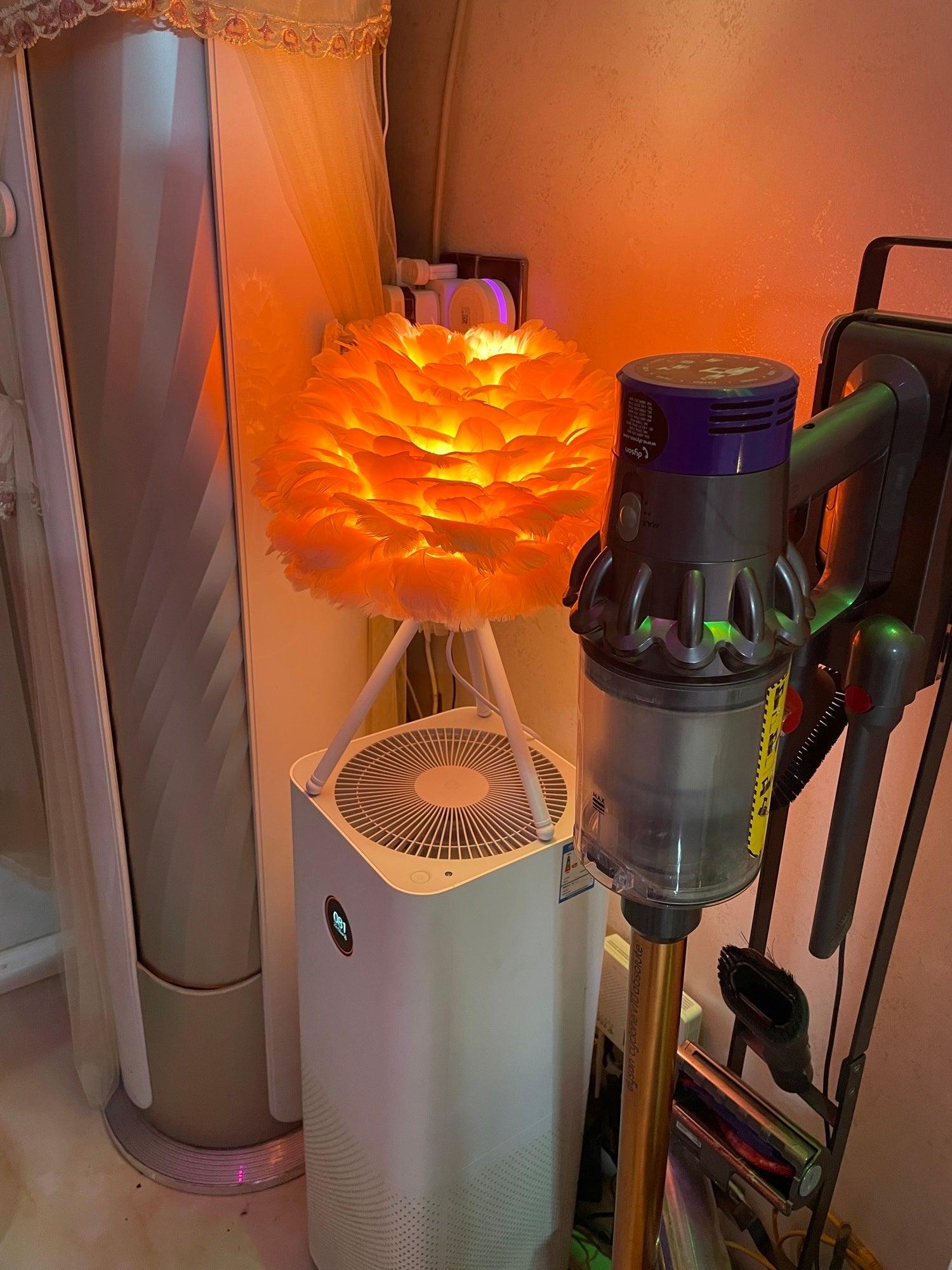 Plumélia | Lampe de Table – Abat-jour plume halo chaleureux