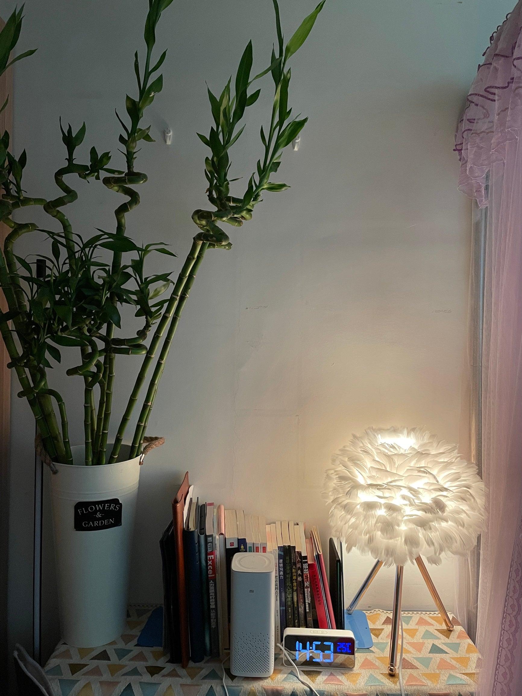 Plumélia | Lampe de Table – Abat-jour plume halo chaleureux