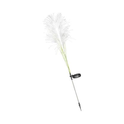 ReedLuxe | Éclairage Solaire Décoratif – Ambiance Extérieure Apaisante