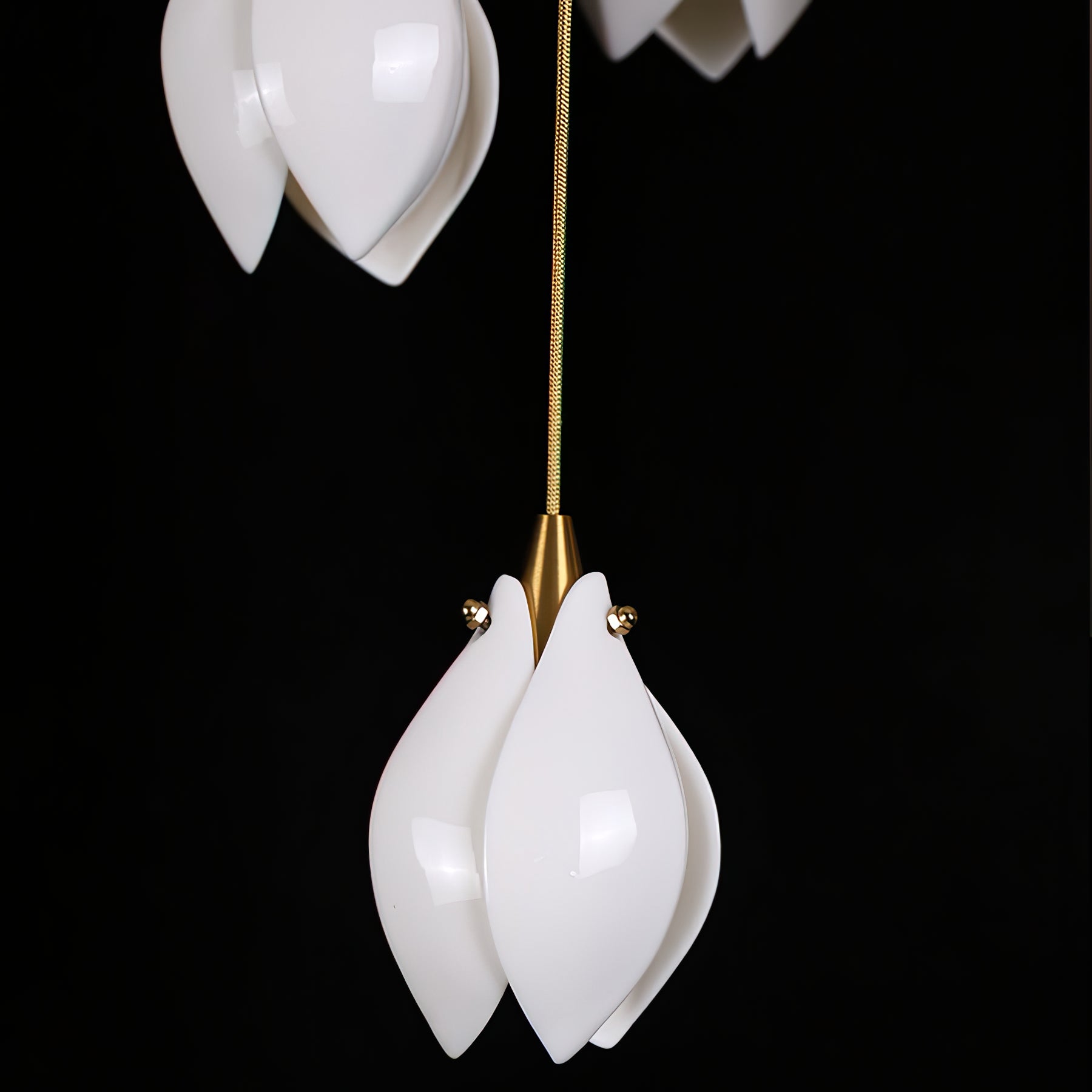 Orévia | Suspension Florale – Lumière Douce et Charme Naturel