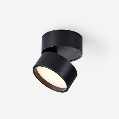 Seravine | Lampe de Plafond – Design Orientable et Ambiance Élégante