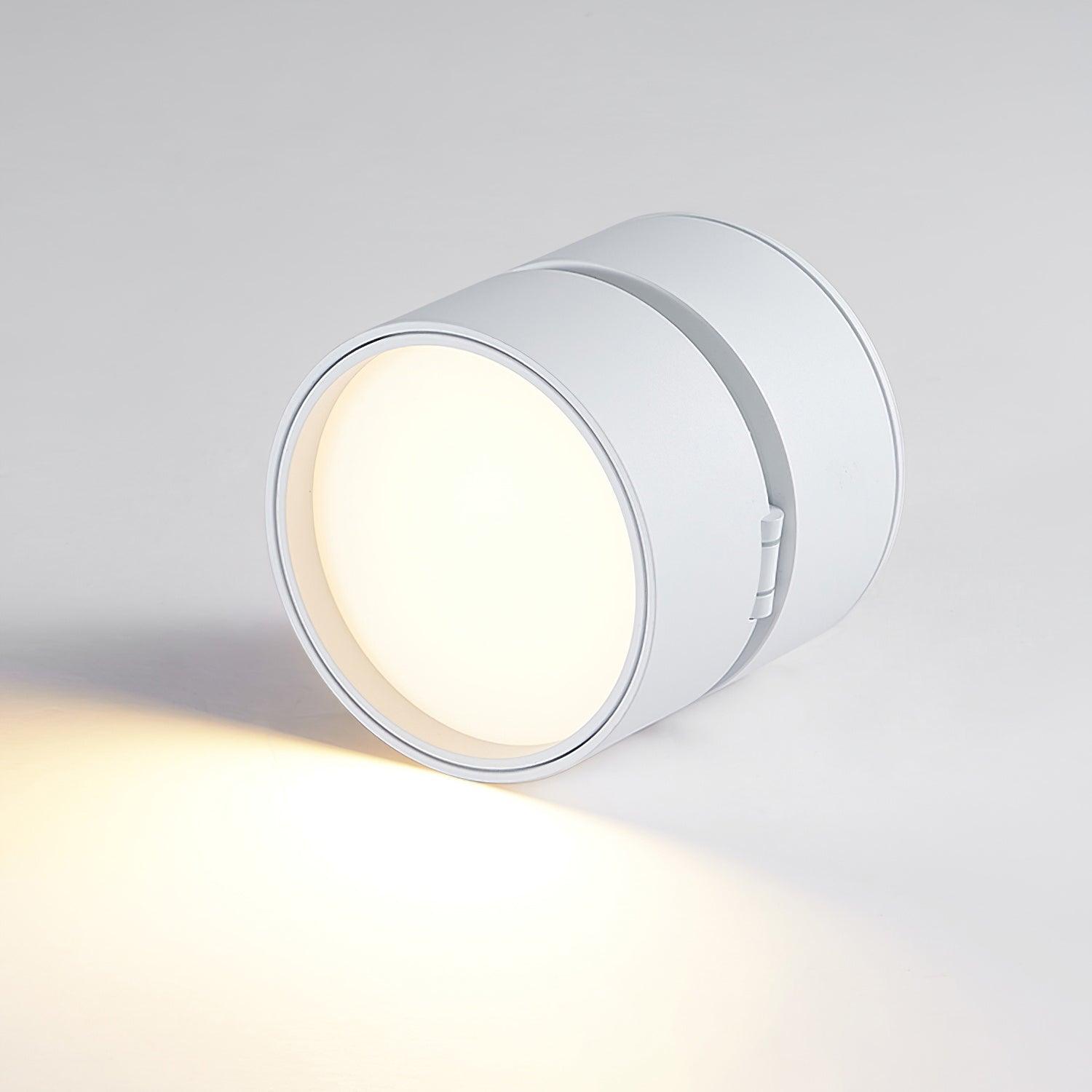 Seravine | Lampe de Plafond – Design Orientable et Ambiance Élégante