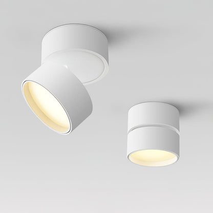 Seravine | Lampe de Plafond – Design Orientable et Ambiance Élégante