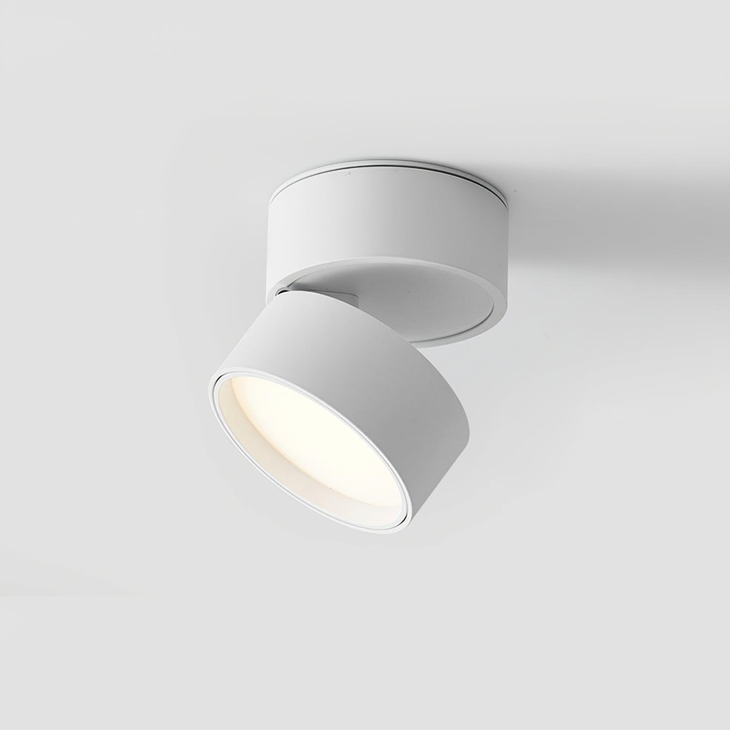 Seravine | Lampe de Plafond – Design Orientable et Ambiance Élégante
