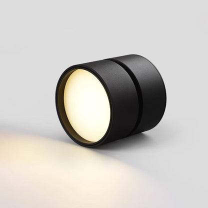 Seravine | Lampe de Plafond – Design Orientable et Ambiance Élégante