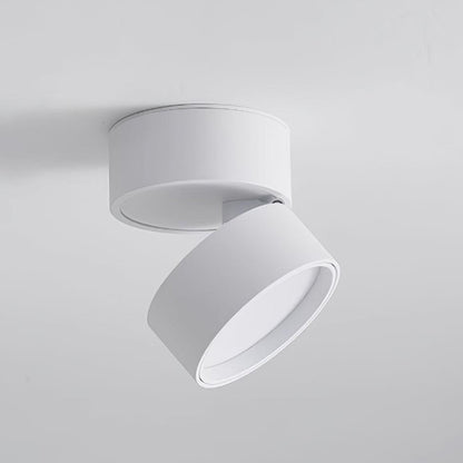 Seravine | Lampe de Plafond – Design Orientable et Ambiance Élégante
