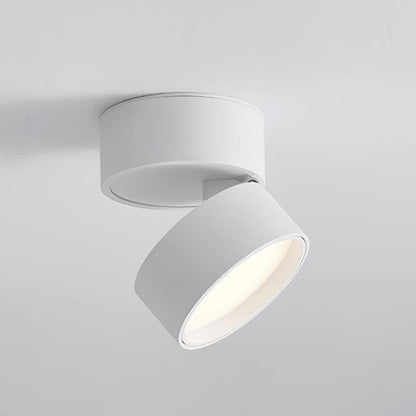 Seravine | Lampe de Plafond – Design Orientable et Ambiance Élégante