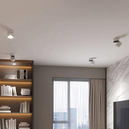 Seravine | Lampe de Plafond – Design Orientable et Ambiance Élégante