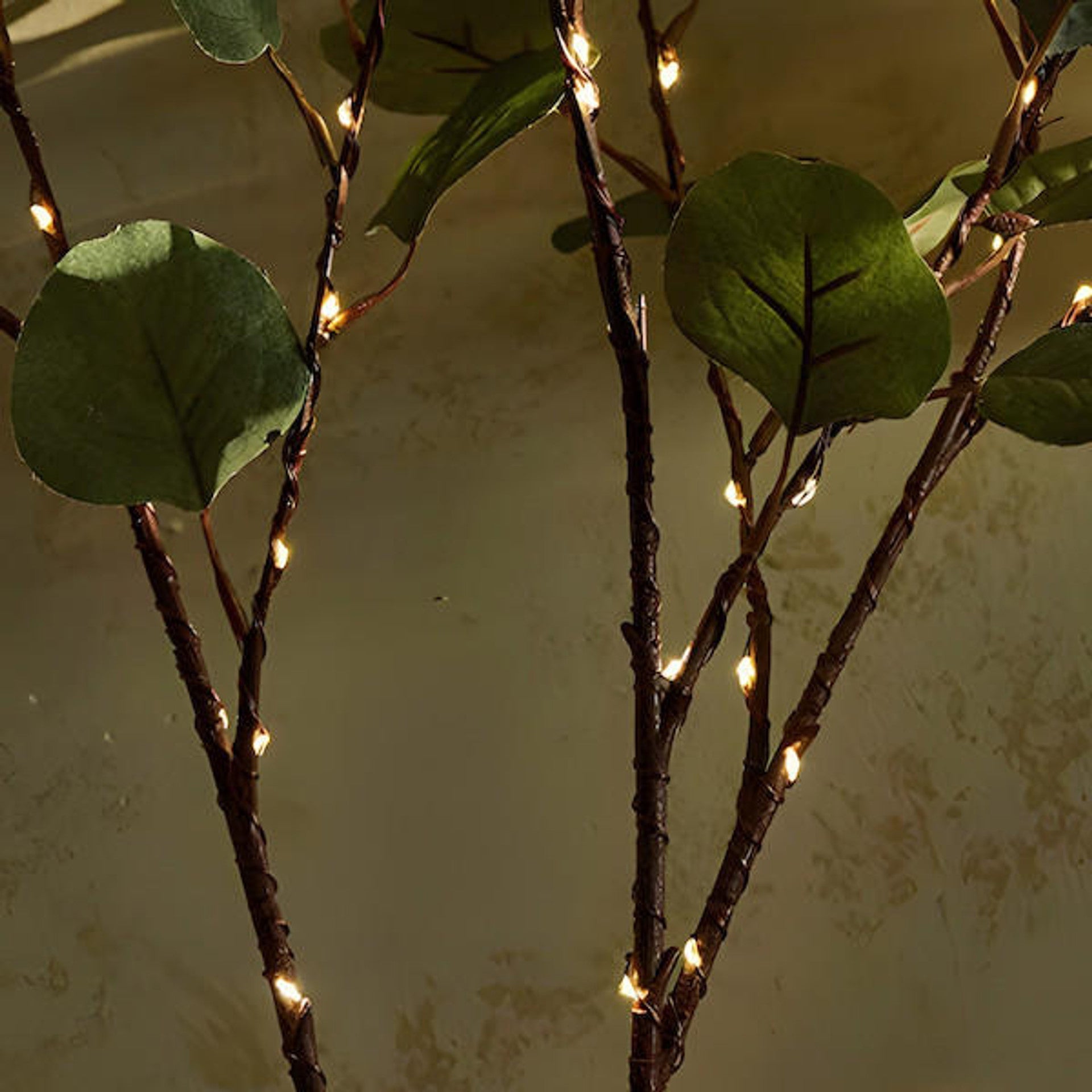 Oliviera | Branches Lumineuses – Éclat Féérique et Ambiance Chaleureuse