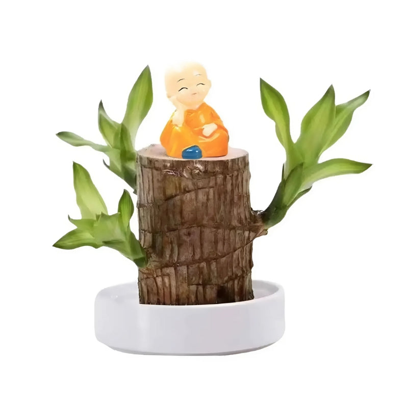 Verdanis - Plante Tropicale En Pot Blanc Rond Arbre + Bouddha