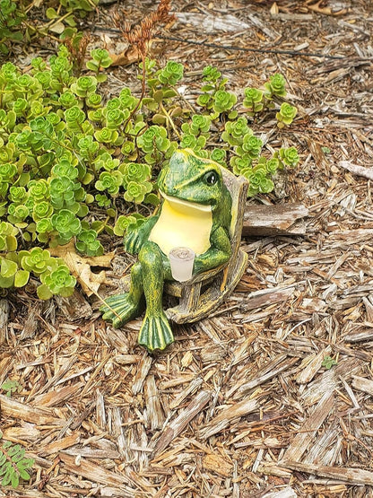 GardenFrog | Figurine Lumineuse de Jardin – Décoration Solaire Étanche