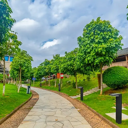 Néovia | Lampe de Jardin Solaire – Éclairage Décoratif et Écologique